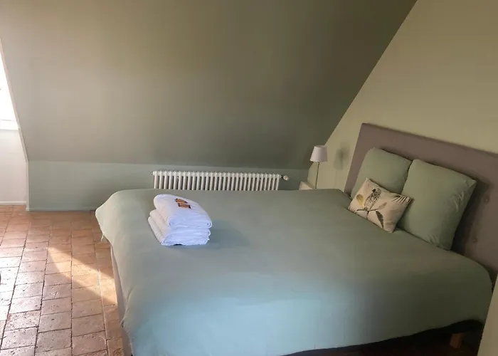 住宿加早餐酒店 Sixtine 拉弗雷切